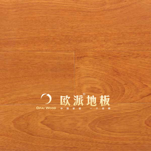 強化地板